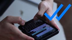 Sigue estos sencillos pasos para desactivar el “visto” de WhatsApp