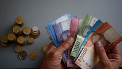 INE reveló la inflación de junio: registró caída de 0,1%