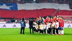 ¿Planeo o en picada?