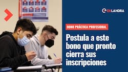 Bono Práctica Profesional: ¿Cómo postular a este beneficio que pronto cierra sus inscripciones?
