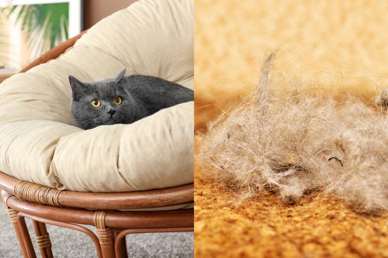 Conoce los mejores trucos para limpiarlos de tus muebles.