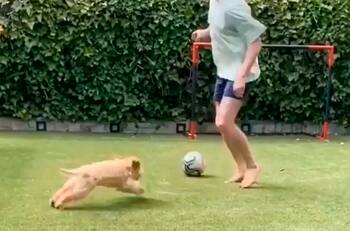 El entretenido juego de Frenkie de Jong con su perro