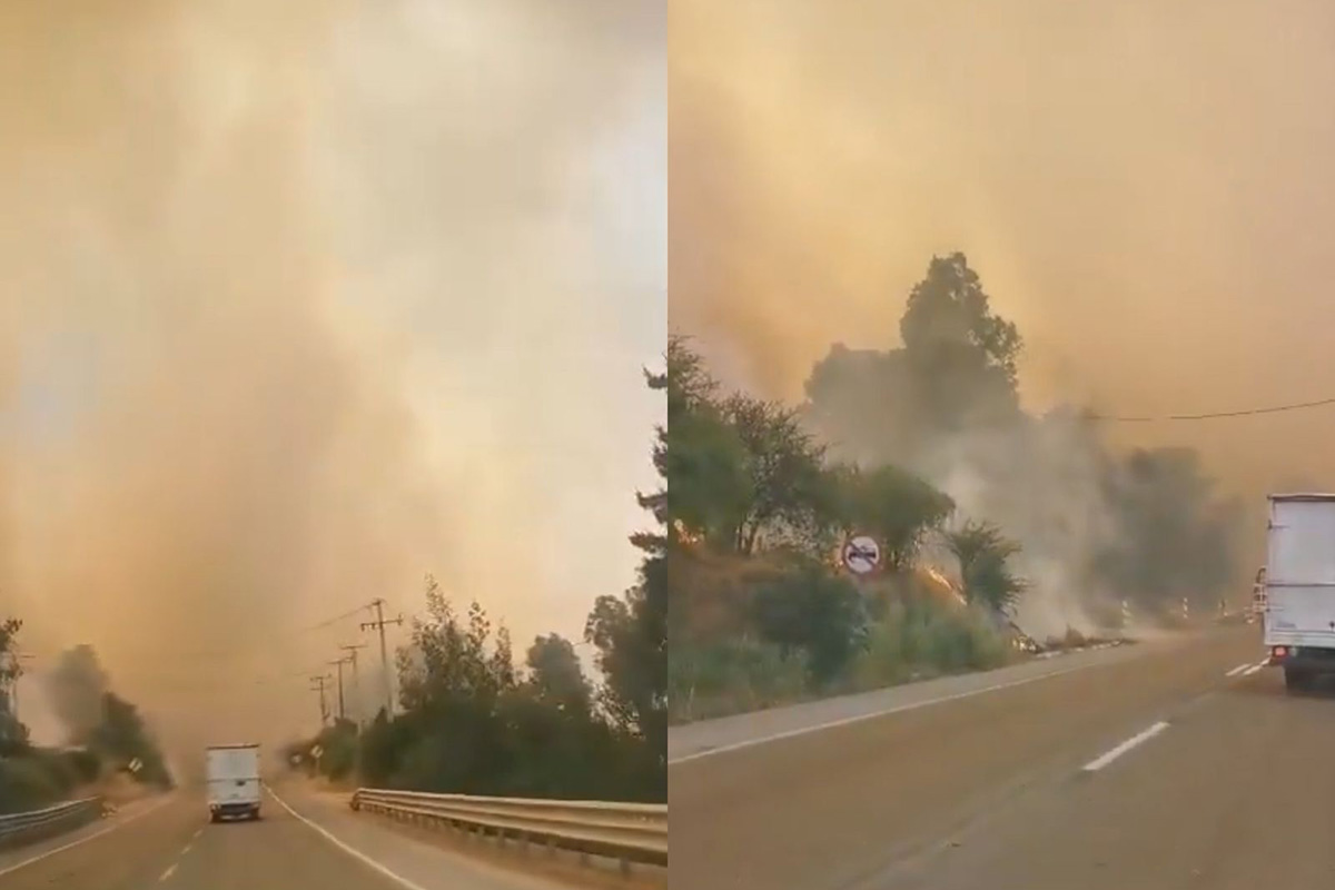 VIDEO | Alerta Roja por incendio forestal en Quilpué: solicitan evacuar cuatro sectores