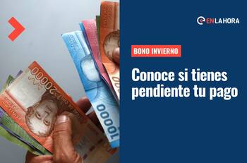 Pagos pendientes Bono Invierno: Revisa si a la fecha no has cobrado tus $120.000