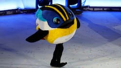 Fiu y Megafraude son líderes: Esto fue lo más destacado del año en Chile según encuesta