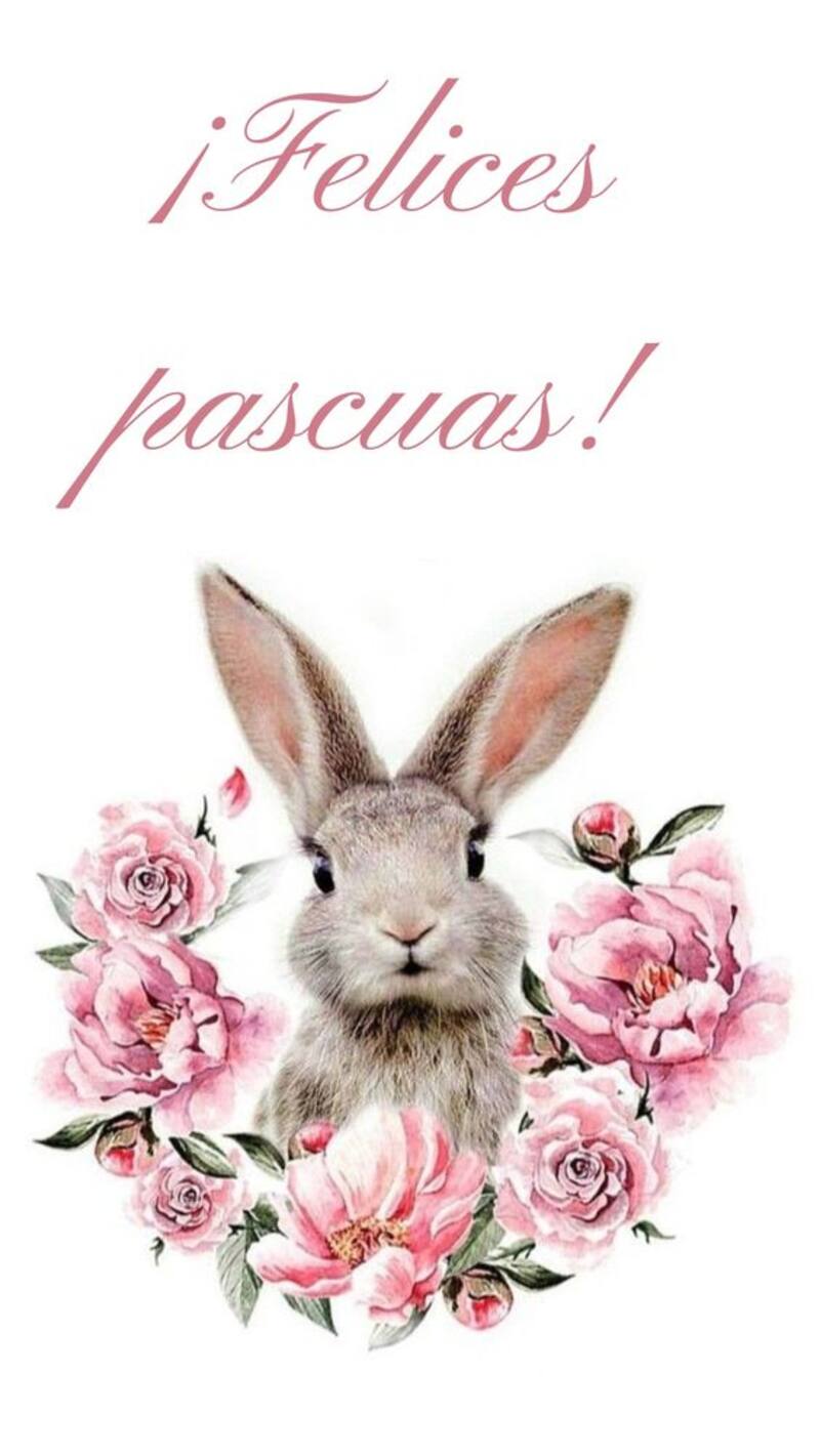Estas son las mejores imágenes para enviar en Pascua por WhatsApp.