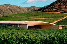 Esta viña chilena fue elegida como la mejor del mundo: ¿Dónde está, cómo llegar y cuánto cuesta una visita?