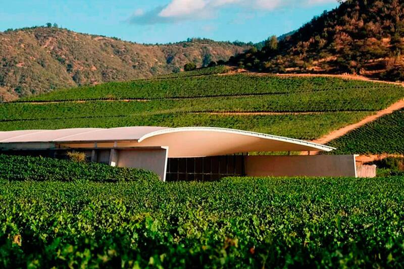 Fue premiada como la mejor del mundo en el World's Best Vineyards 2025.
Créditos: VIK Wines.