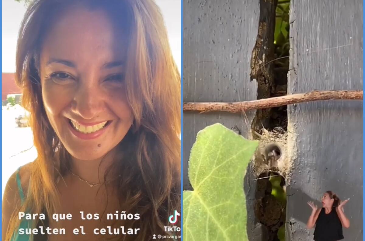 “Fascinación por sacar las arañas”: Priscilla Vargas sorprende recreando especial juego de su infancia