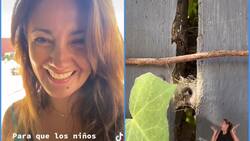 “Fascinación por sacar las arañas”: Priscilla Vargas sorprende recreando especial juego de su infancia