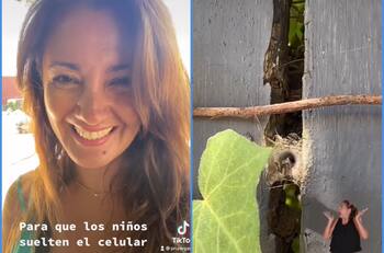 “Fascinación por sacar las arañas”: Priscilla Vargas sorprende recreando especial juego de su infancia