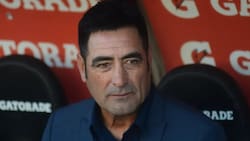 Aseguran que Nelson Tapia encontró equipo en el fútbol chileno