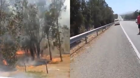 VIDEO | SENAPRED alerta por incendios forestales en sectores de Valparaíso y O’Higgins