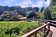 Un paraíso escondido: El humedal gratuito cerca de Santiago ideal para una escapada por el día