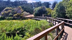 Un paraíso escondido: El humedal gratuito cerca de Santiago ideal para una escapada por el día