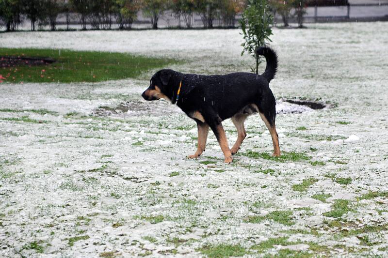 Las bajas temperaturas seguirán siendo la tónica para el resto de la semana en gran parte del territorio nacional.