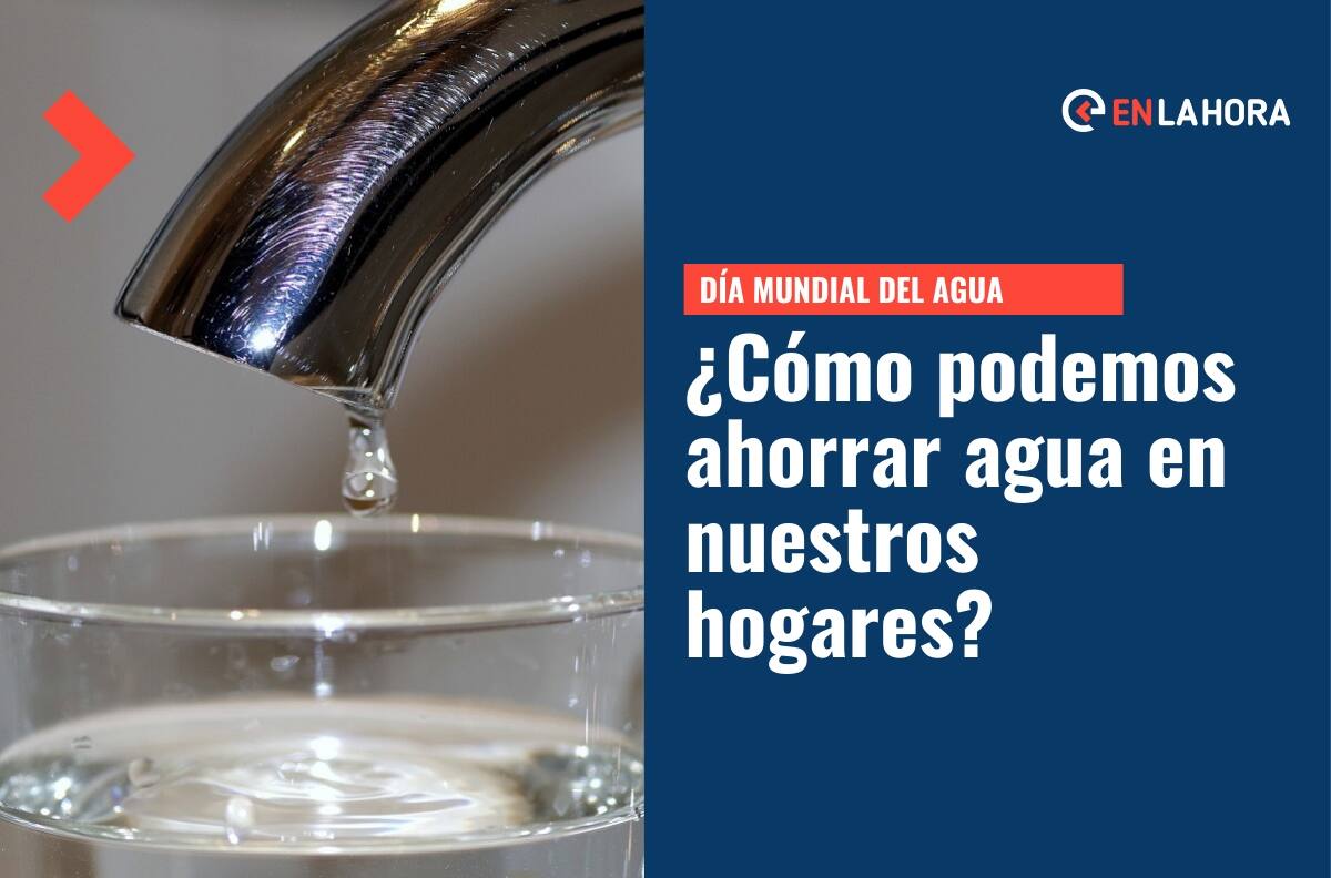 Día Mundial del Agua: ¿Qué podemos hacer para ahorrar agua en nuestros hogares?