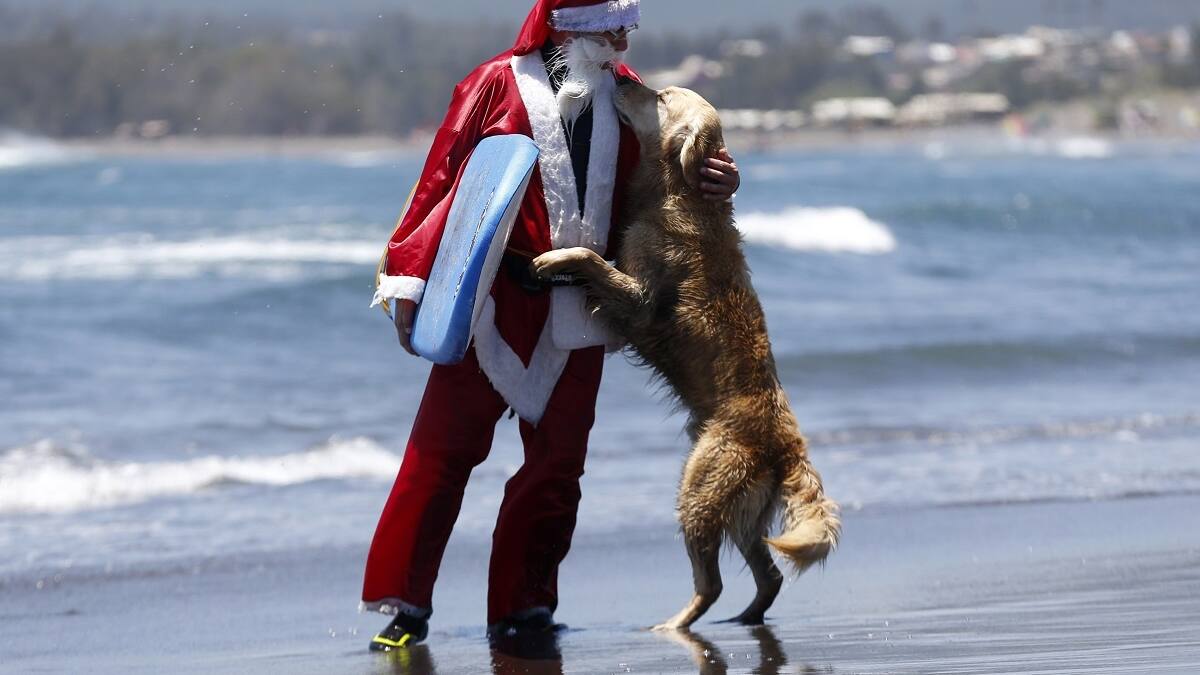 Bono COVID Navidad comenzó pagos por transferencia: consulta con tu RUT si eres beneficiario