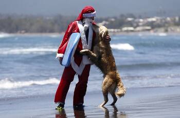 Bono COVID Navidad comenzó pagos por transferencia: consulta con tu RUT si eres beneficiario