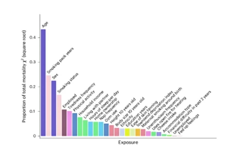 Estos son los principales aspectos que influyen en el envejecimiento.