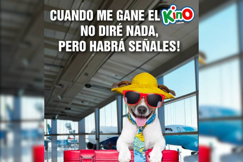 Conoce los resultados del último sorteo.