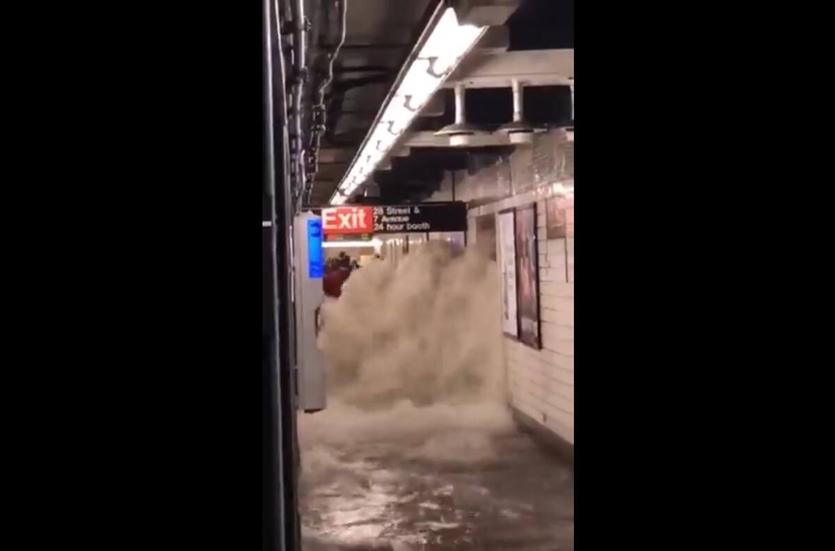 Videos| Nueva York en estado de emergencia: fuertes inundaciones se reportan por huracán Ida