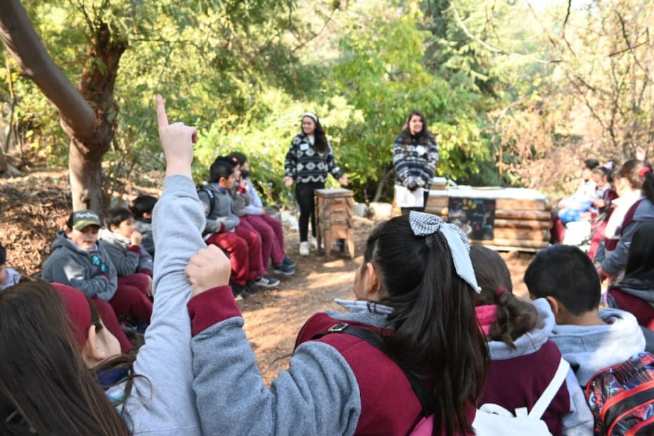 Este 9 y 10 de agosto tendrán actividades especiales para los niños y niñas.
Créditos: Granja Aventura.