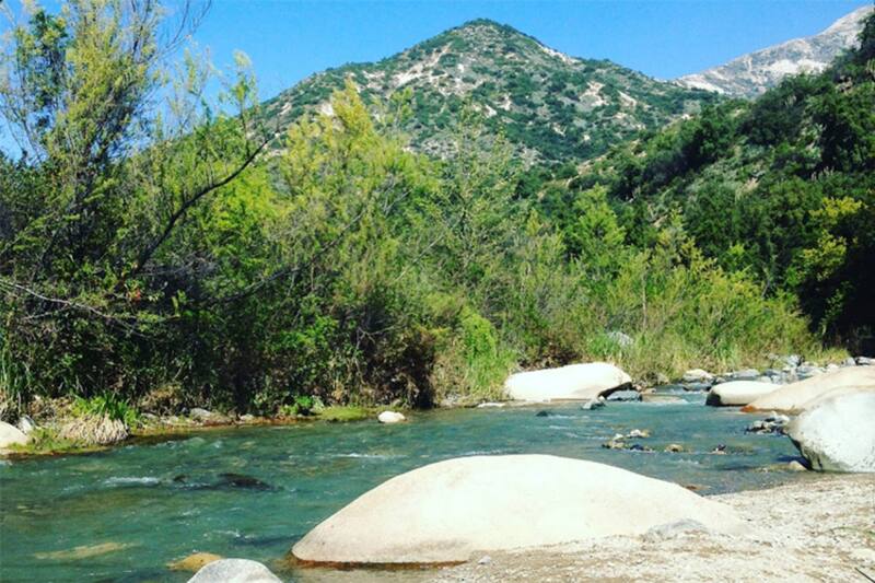 Así puedes conseguir tu entrada gratuita este domingo.
