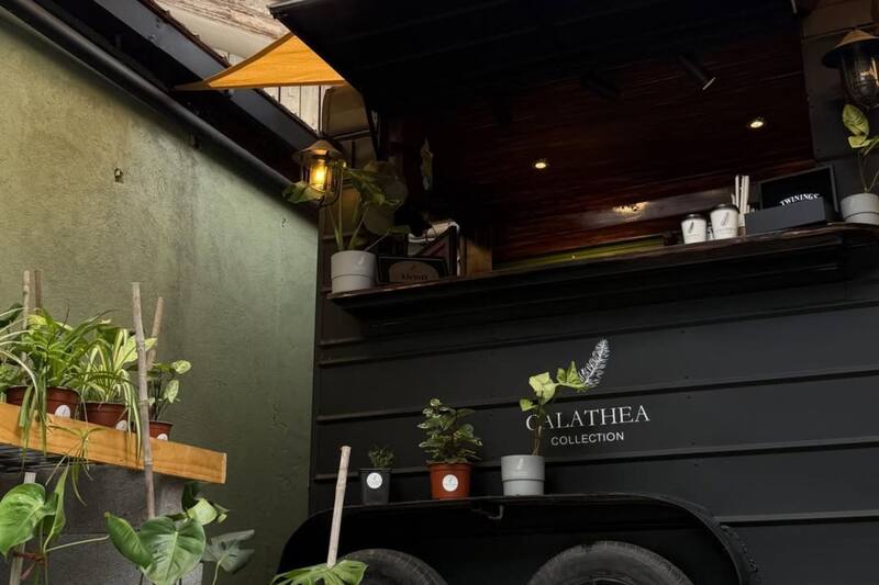 Está ubicado en la comuna de Las Condes.
Créditos: Calathea Collection.