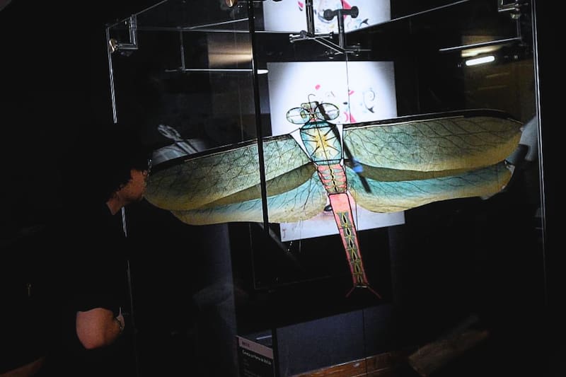 Un imperdible para visitar en compañía durante las vacaciones. Créditos: spanish.xinhuanet.com.