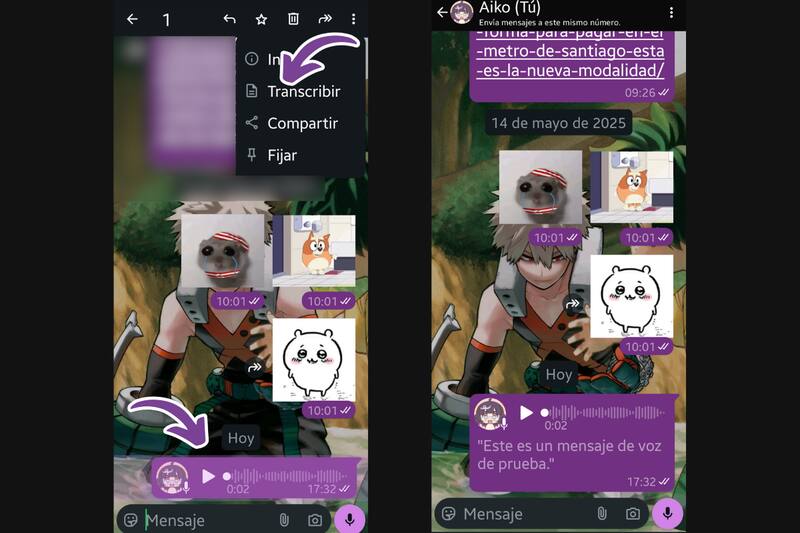 La transcripción tardará pocos segundos en aparecer.