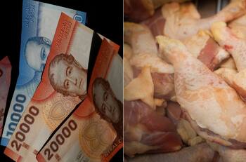 Recibirán $13 mil: Estos son los beneficiarios de la compensación por colusión de los pollos