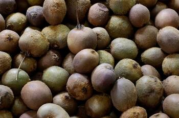 IPC de agosto: conoce los productos que más han subido de precio este año