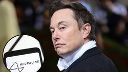 ¿Qué es Neuralink, la compañía de Elon Musk que logró implantar un chip en el cerebro humano?