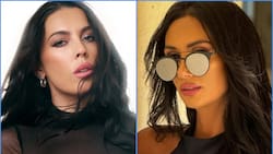 “Noche Cero Especial”: Animadores, artistas e invitados que tendrá el programa que remplaza a la Gala del festival de Viña 2024