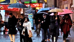 ¿Cómo afectará a Chile el fenómeno de El Niño? Jaime Leyton anticipa la llegada del evento climático