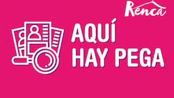 Pagan hasta $1.200.000: Revisa las ofertas laborales de la Municipalidad de Renca