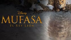 Es lo más visto a nivel mundial: ¿Dónde ver Mufasa: El Rey León en streaming?