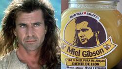 Mel Gibson amenazó con demanda a twittero que creó miel con su nombre