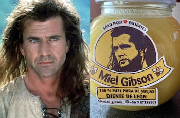 Mel Gibson amenazó con demanda a twittero que creó miel con su nombre
