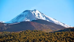 Tiene volcán, lagunas y bosques milenarios: el destino del sur de Chile ideal para visitar en Semana Santa