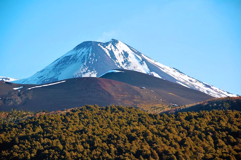El recinto destaca por sus araucarias milenarias y paisajes volcánicos únicos en Chile. Créditos: Conaf.