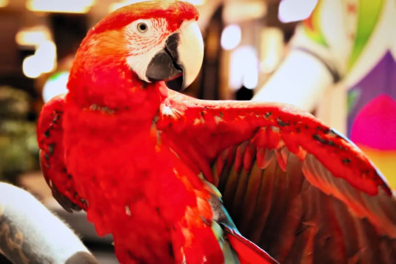 Atractivos ideales para visitar este miércoles 4 de febrero. Créditos: @diegusfotografia vía Instagram.