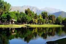 Un oasis inserto en la Quinta Región: El manantial de agua cristalina ubicado a casi 2 horas de Santiago