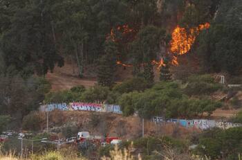 VIDEO | Onemi declara alerta roja por incendio forestal en el sector del Jardín Botánico de Viña del Mar