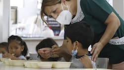 FACH ofrece sueldos de hasta $1.400.000: buscan educadoras de párvulo y jardineros