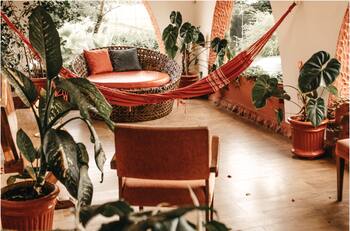 Tip: El secreto algodón para que tus plantas de interior no se marchiten si sales de vacaciones