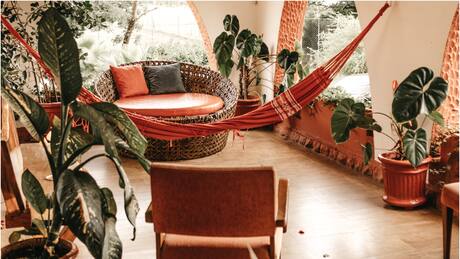 Tip: El secreto algodón para que tus plantas de interior no se marchiten si sales de vacaciones