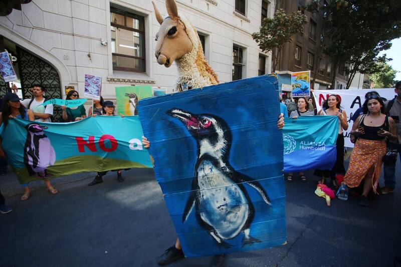 Durante la tarde del miércoles, hubo manifestaciones a favor y en contra de Dominga.