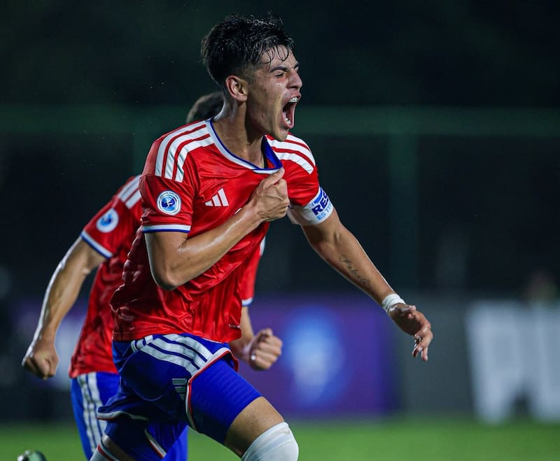 Foto: Richard Ramirez - Comunicaciones FFCh